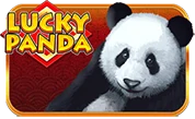 icon-lucky-panda.webp